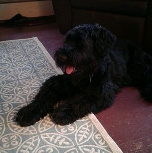 Meet your Posher, Cheryl